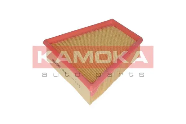 Air Filter (F205101)