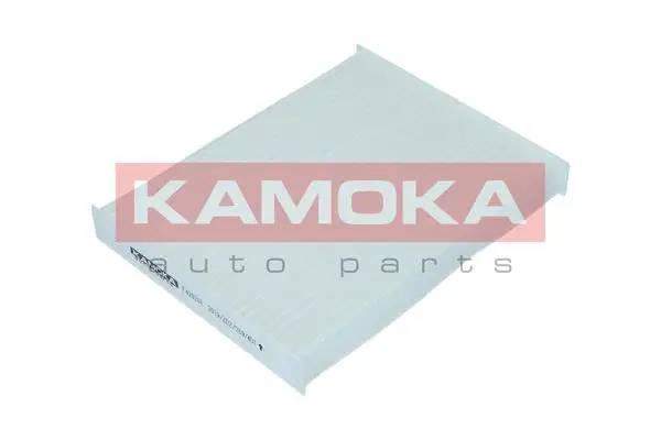 Filter, cabin air (F420201)