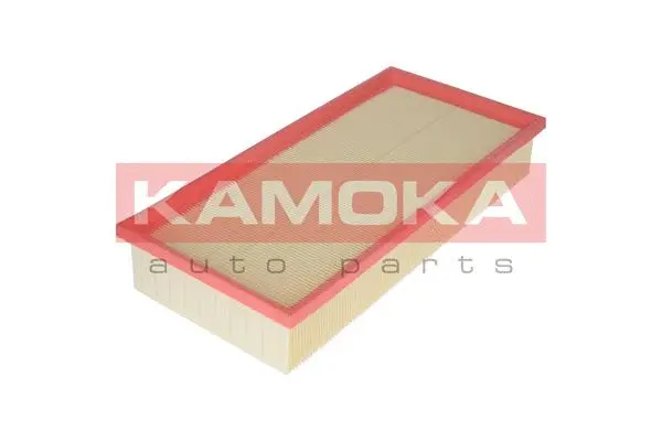 Air Filter (F208001)