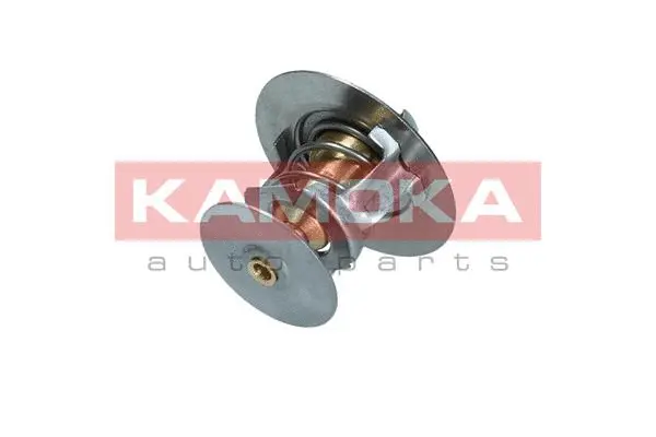Thermostat, coolant (7710125)