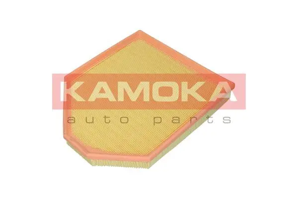Air Filter (F243401)