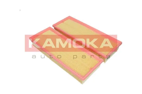 Air Filter (F227201)