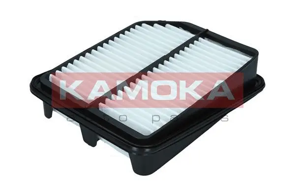 Air Filter (F249901)