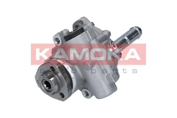 Hydraulic Pump, steering (PP176)