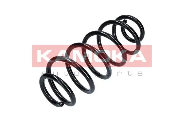 Suspension Spring (2110100)