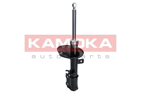 Shock Absorber (2000197)