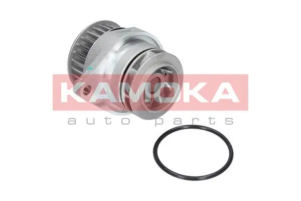 Water Pump, engine cooling (T0249)
