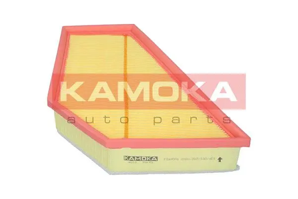 Air Filter (F249501)