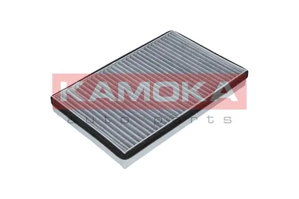 Filter, cabin air (F503101)
