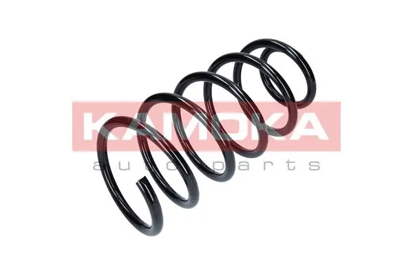 Suspension Spring (2110118)