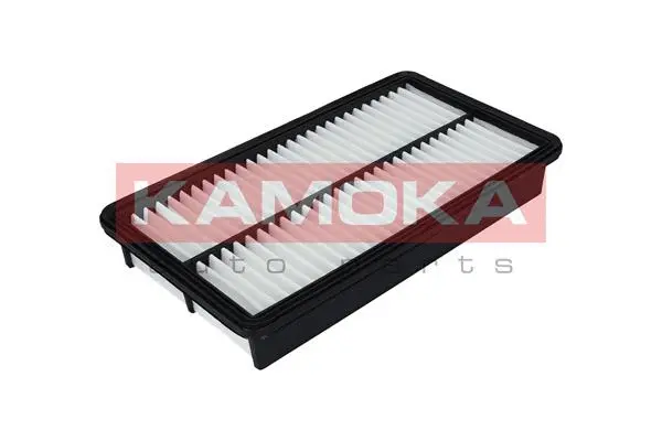 Air Filter (F207201)