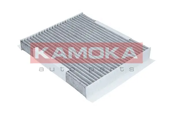 Filter, cabin air (F504501)