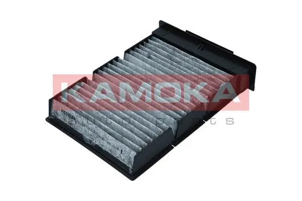 Filter, cabin air (F515201)