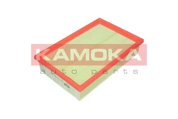 Air Filter (F203401)
