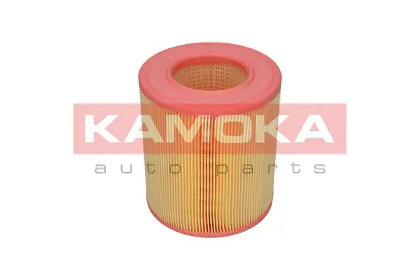 Air Filter (F236701)