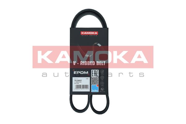 V-Ribbed Belt (7016027)