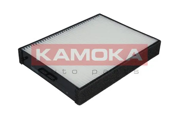 Filter, cabin air (F409601)