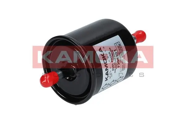 Fuel Filter (F304301)