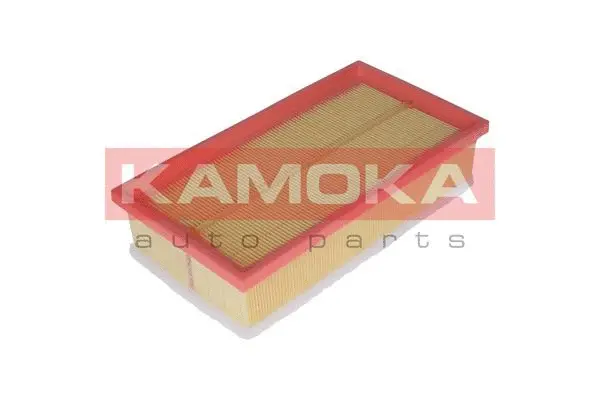 Air Filter (F223601)