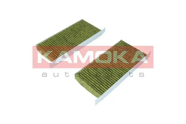Filter, cabin air (6080049)