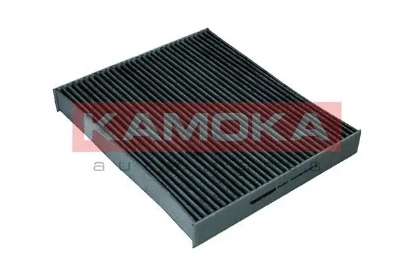 Filter, cabin air (F513901)