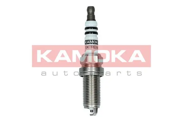 Spark Plug (7090528)