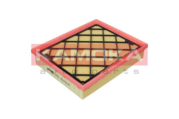 Air Filter (F259101)