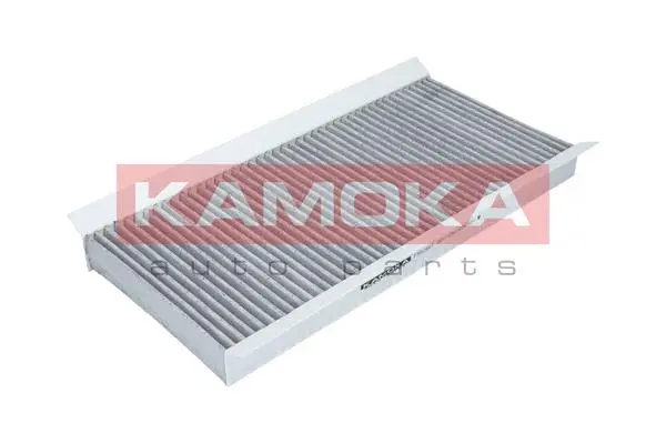 Filter, cabin air (F502901)