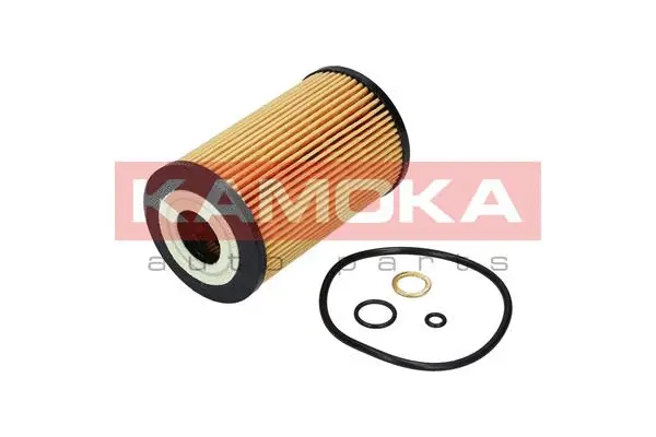 Oil Filter (F111101)