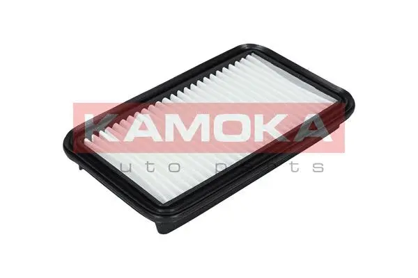 Air Filter (F234701)