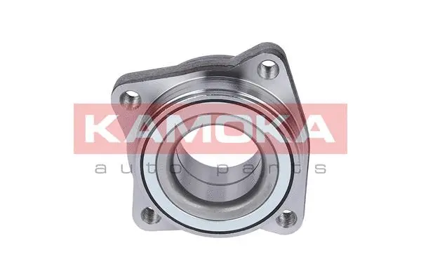 Wheel Bearing Kit (5500051)