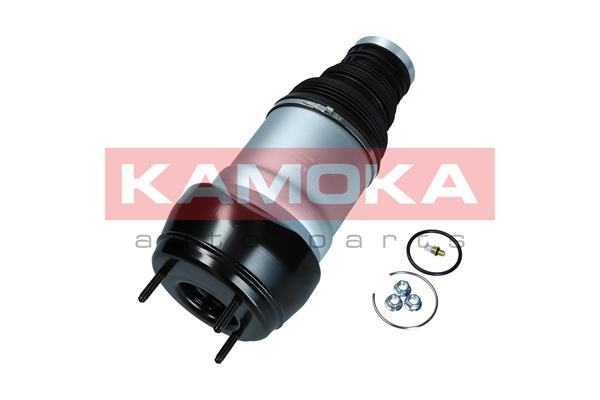 Air Spring, suspension (2079046)