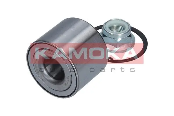 Wheel Bearing Kit (5600050)