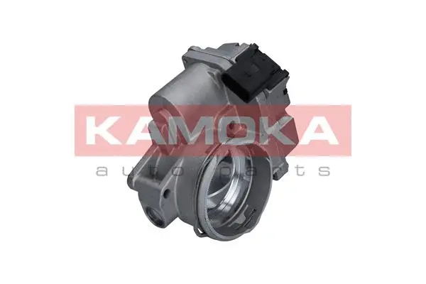 Throttle Body (112011)