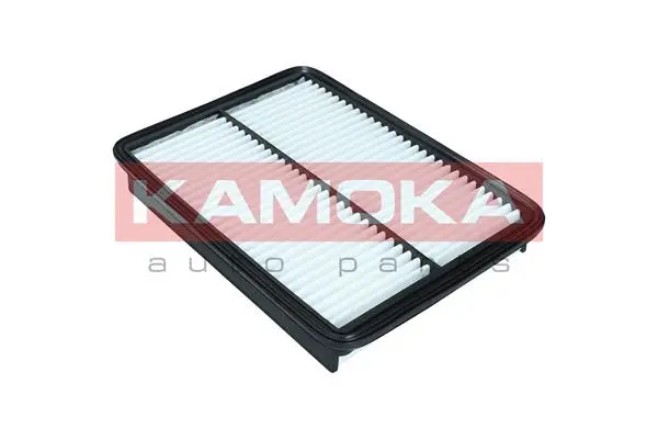 Air Filter (F245501)