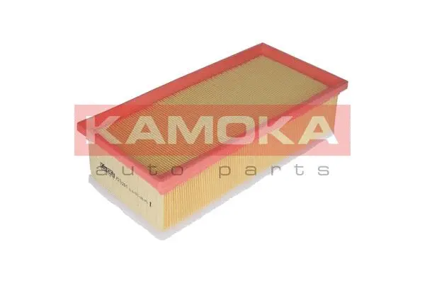 Air Filter (F213201)
