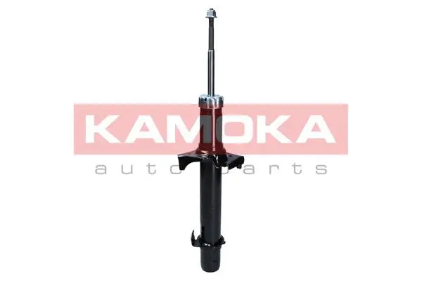 Shock Absorber (2000624)
