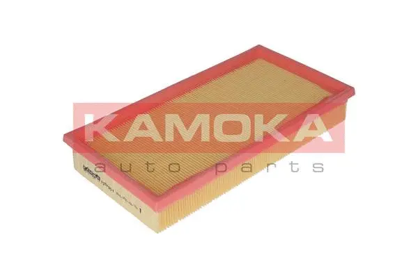 Air Filter (F207901)