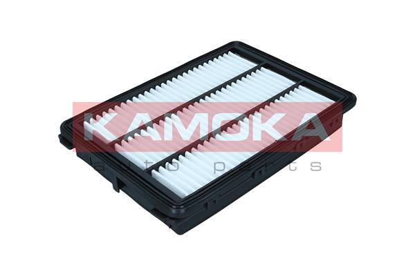 Air Filter (F259201)