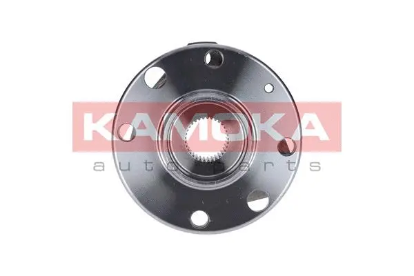 Wheel Bearing Kit (5500062)