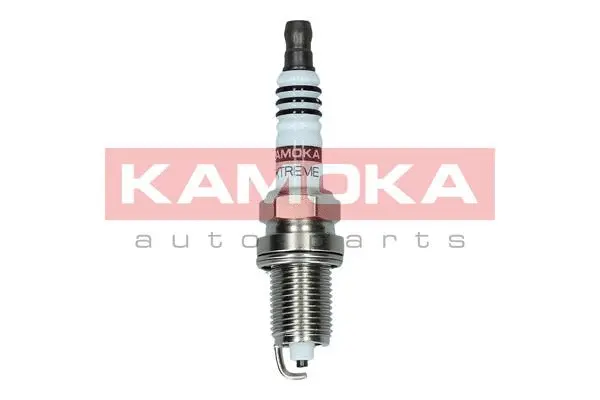 Spark Plug (7090535)