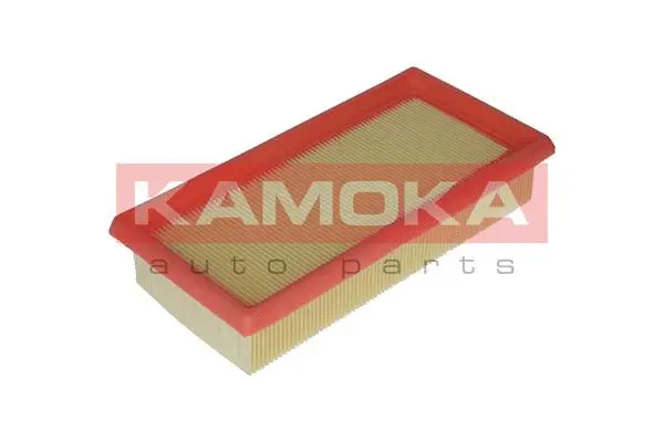 Air Filter (F234601)