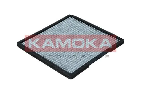 Filter, cabin air (F516201)