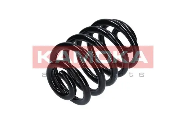 Suspension Spring (2120117)