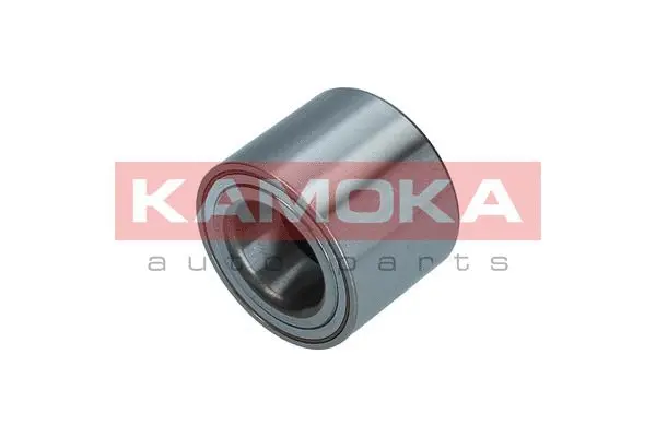 Wheel Bearing Kit (5600170)