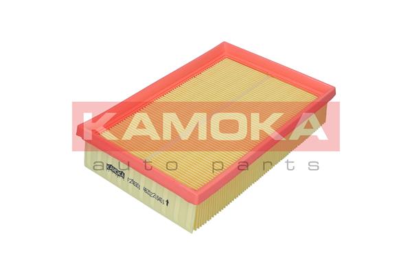 Air Filter (F256301)
