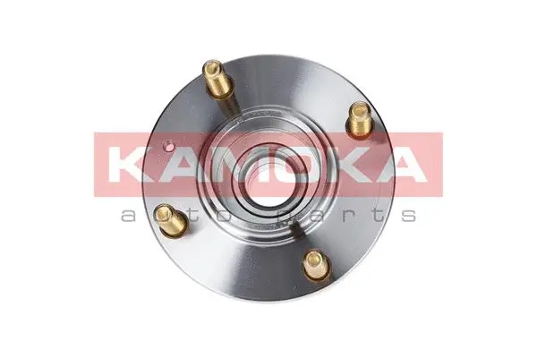 Wheel Bearing Kit (5500011)