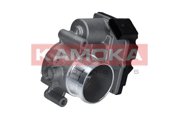 Throttle Body (112005)