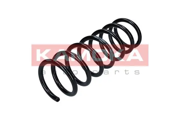 Suspension Spring (2120235)