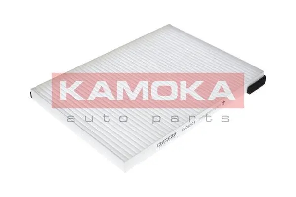 Filter, cabin air (F408501)